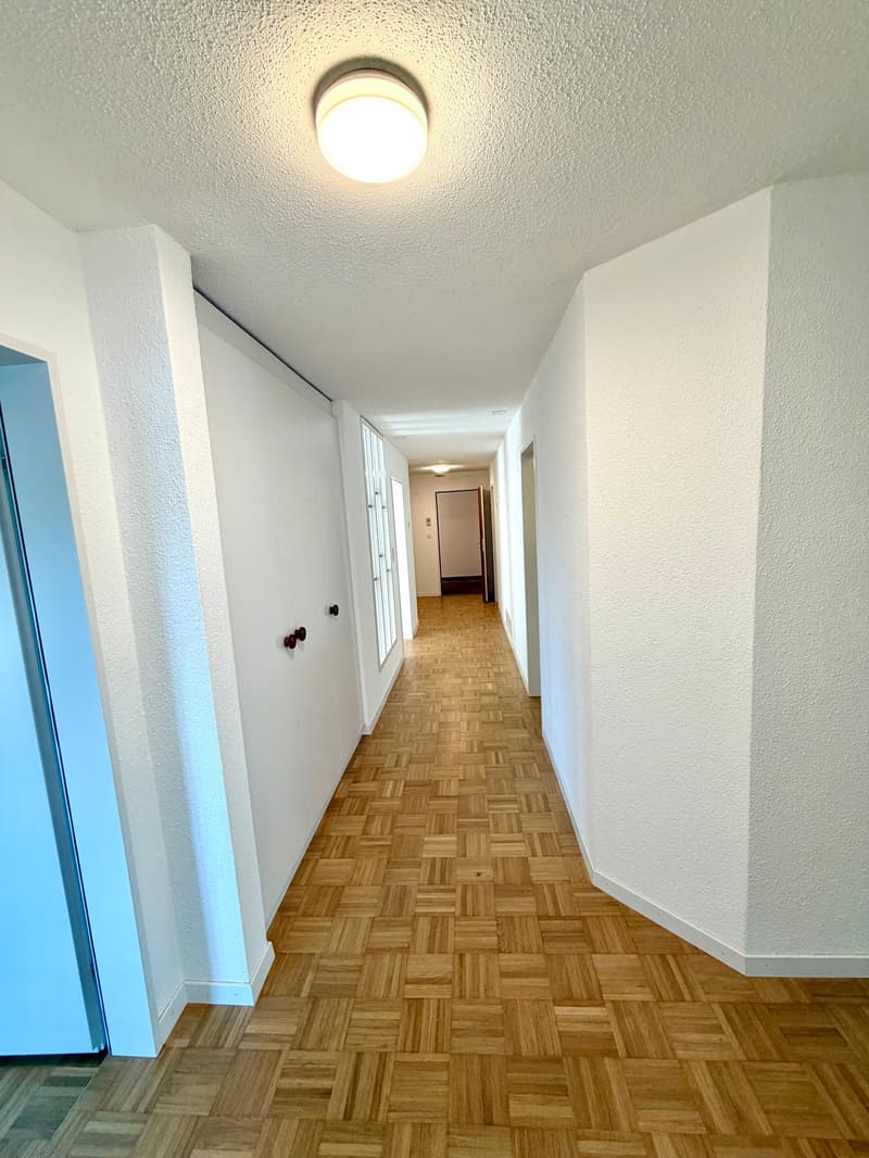 Large 4.5-room central apartment near the old town (8)