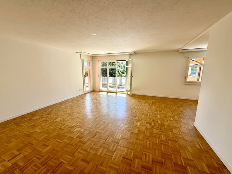 Large 4.5-room central apartment near the old town (6)