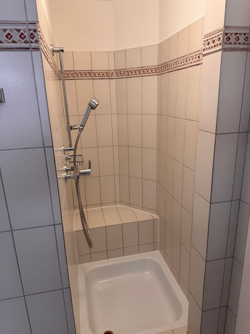 Large 4.5-room central apartment near the old town (13)
