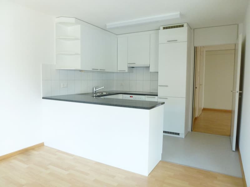 Appartement spacieux 3,5 pièces (3)