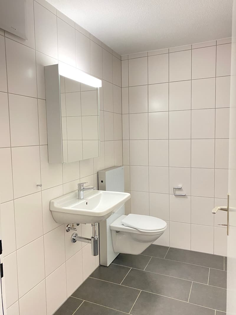 Appartement spacieux 3,5 pièces (9)