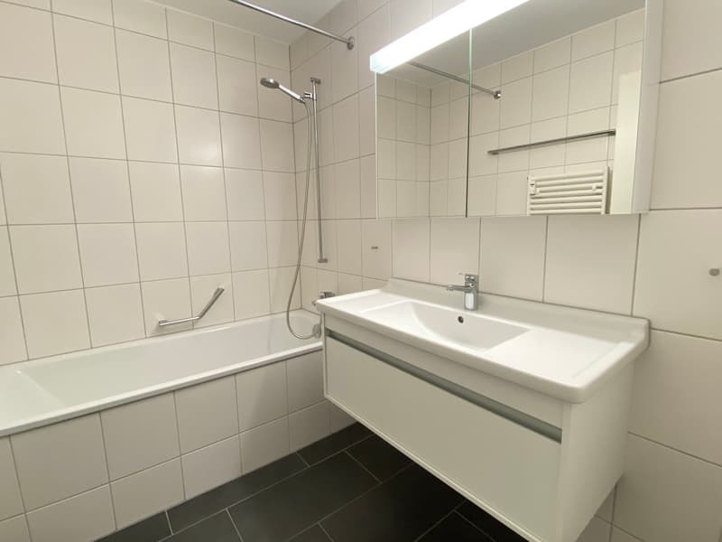 Appartement spacieux 3,5 pièces (8)