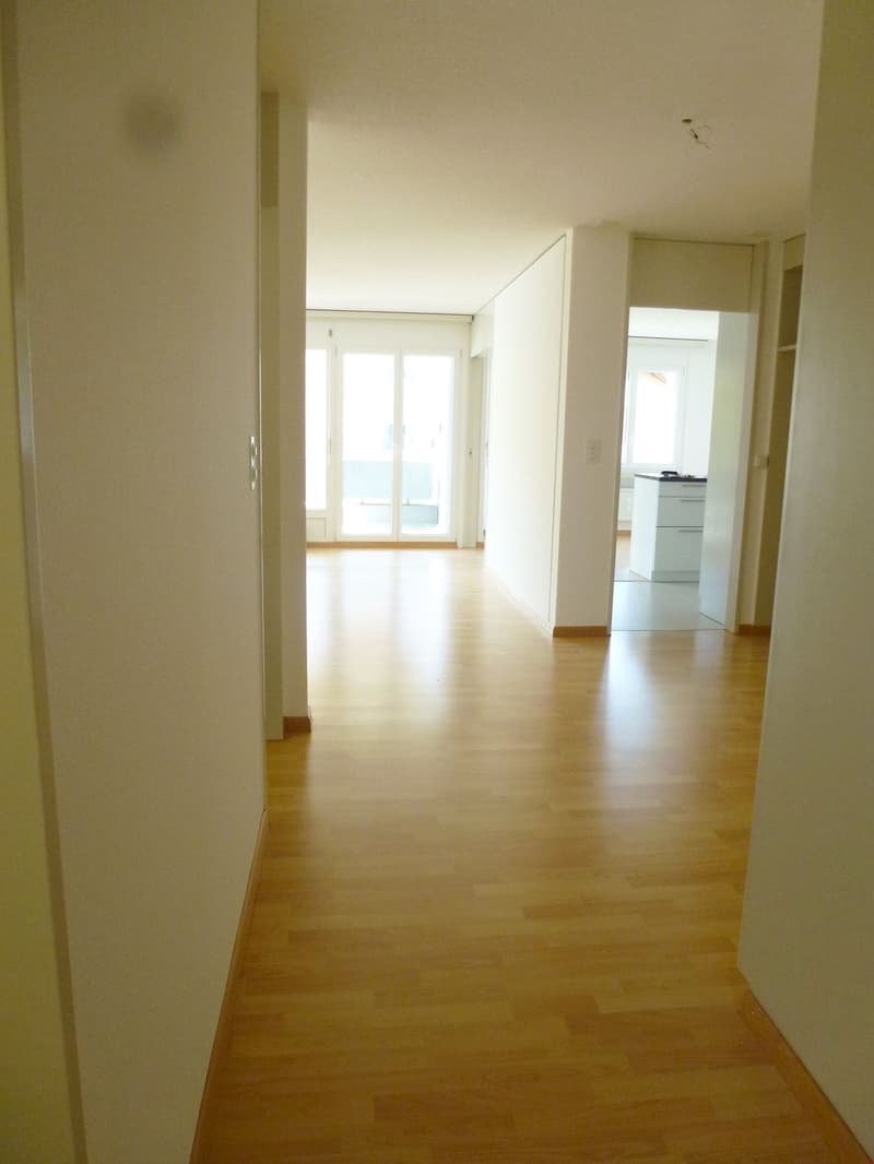 Appartement spacieux 3,5 pièces (4)