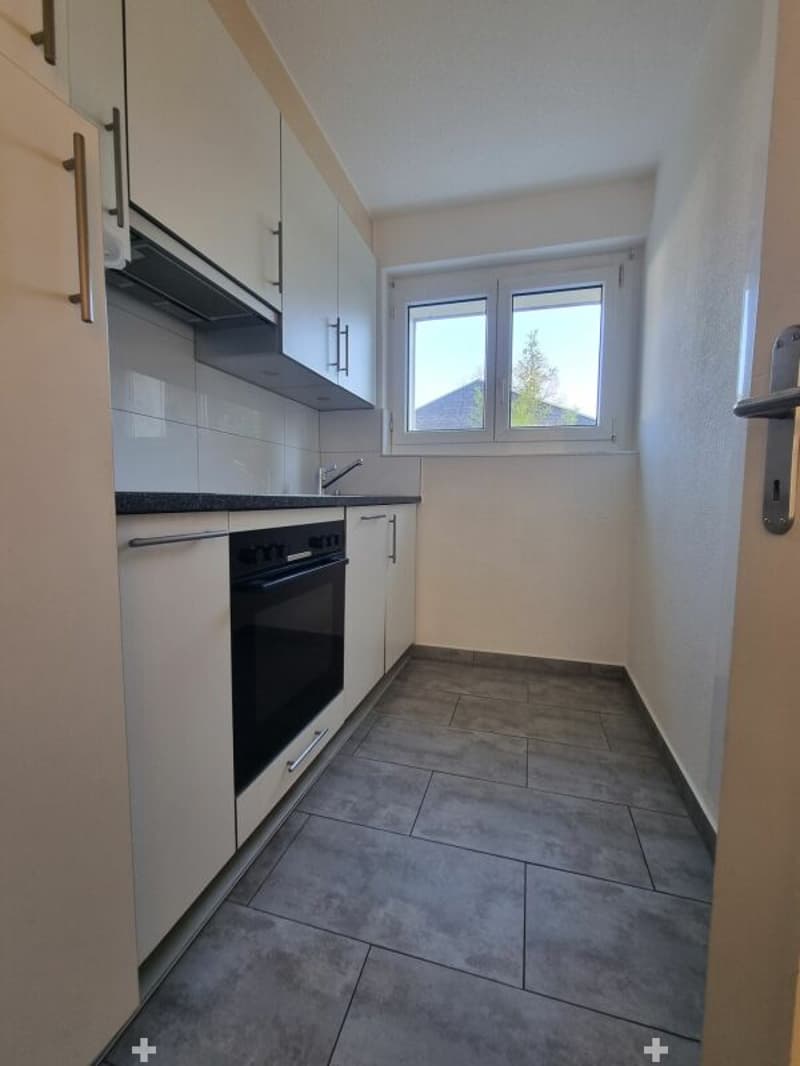 Charmante 3.5-Zimmer-Wohnung an zentraler Lage in Biel (7)