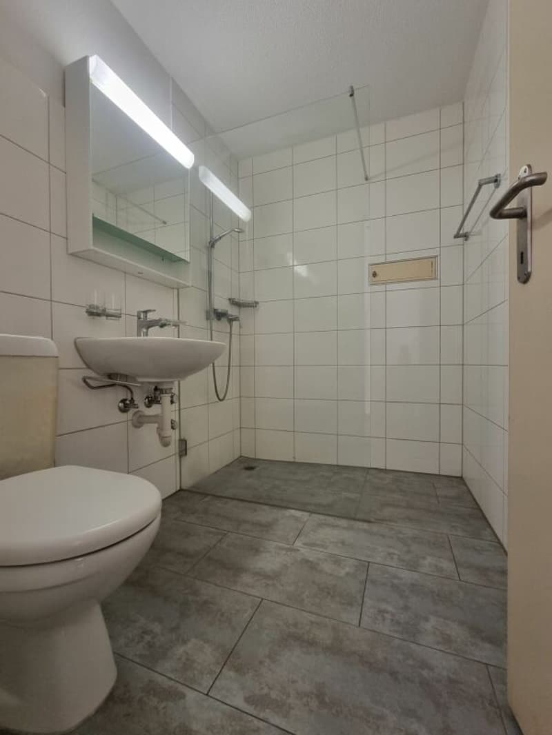 Charmante 3.5-Zimmer-Wohnung an zentraler Lage in Biel (8)