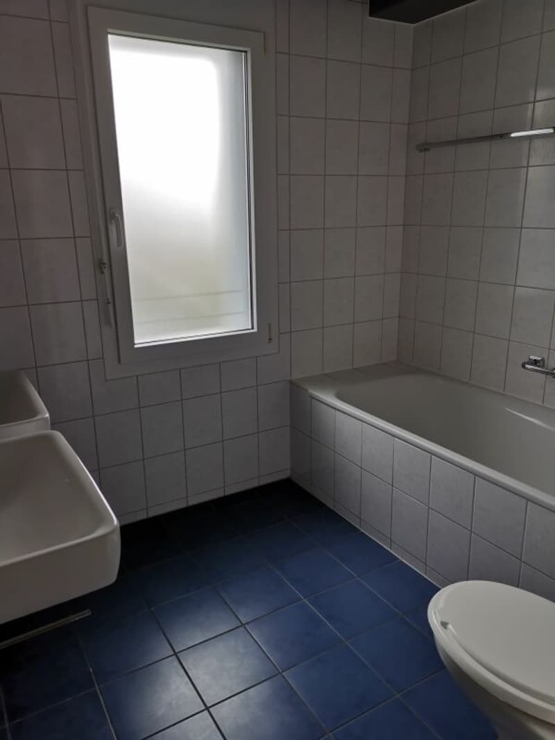 4.5 Zimmer-Galerie-Wohnung in Safnern zu vermieten (7)