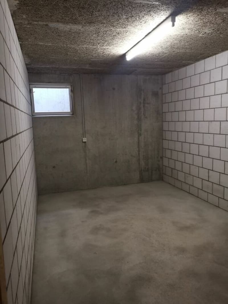 4.5 Zimmer-Galerie-Wohnung in Safnern zu vermieten (11)