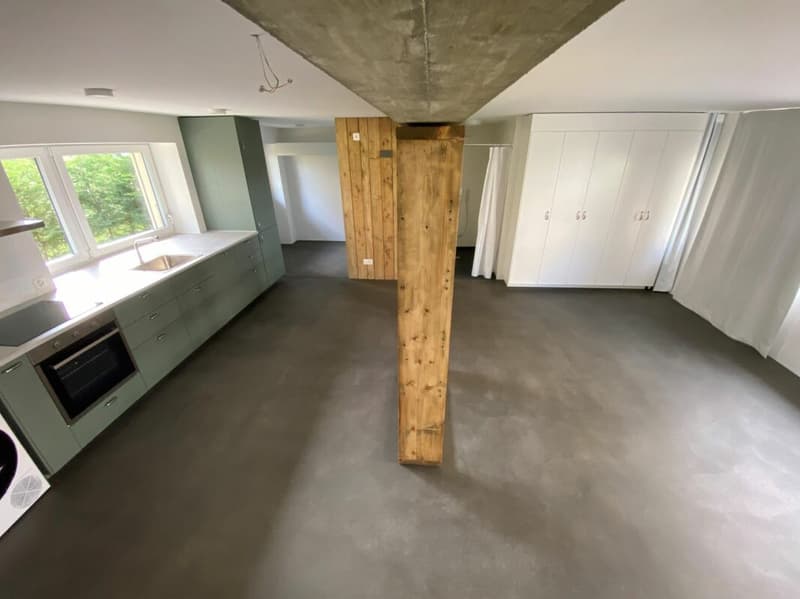 Abitare moderno ad Aegerten - monolocale quasi nuovo con parcheggio e giardino (3)