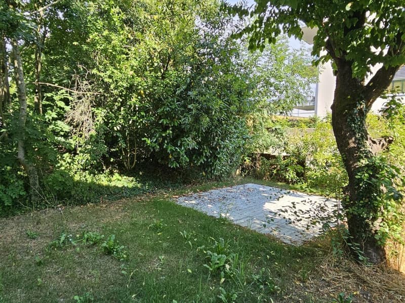 Abitare moderno ad Aegerten - monolocale quasi nuovo con parcheggio e giardino (9)