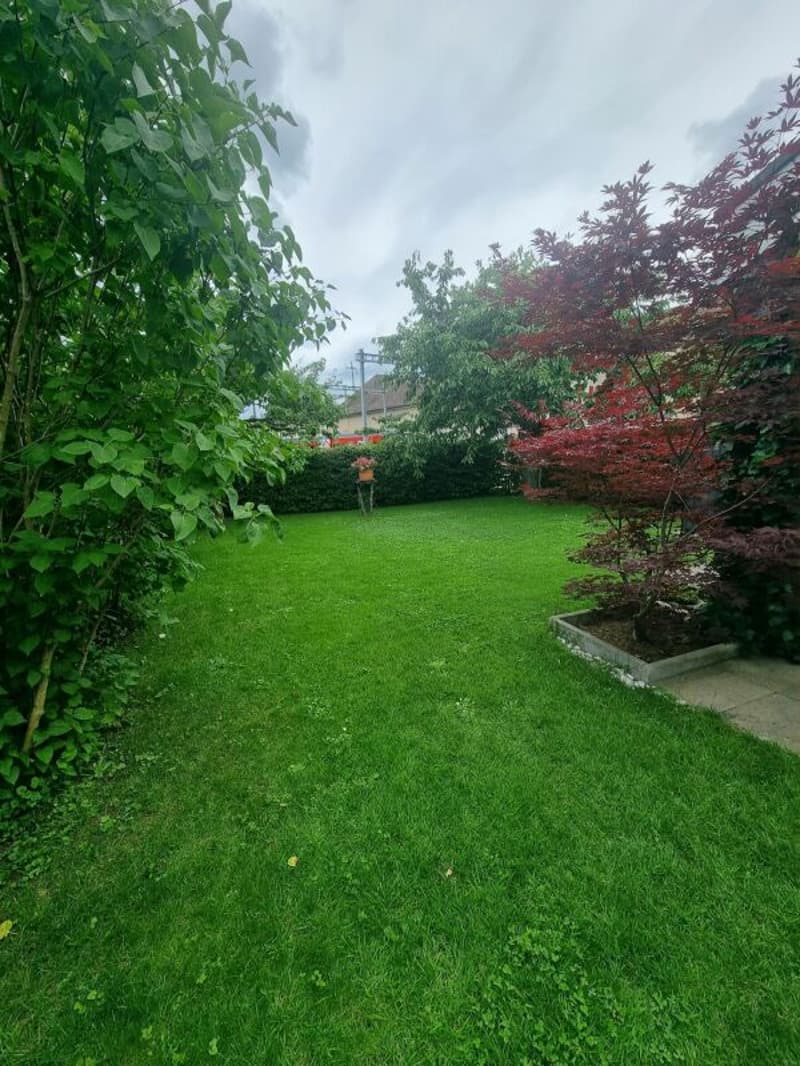 Grand appartement 5.5 pièces avec jardin à Täuffelen à louer (6)