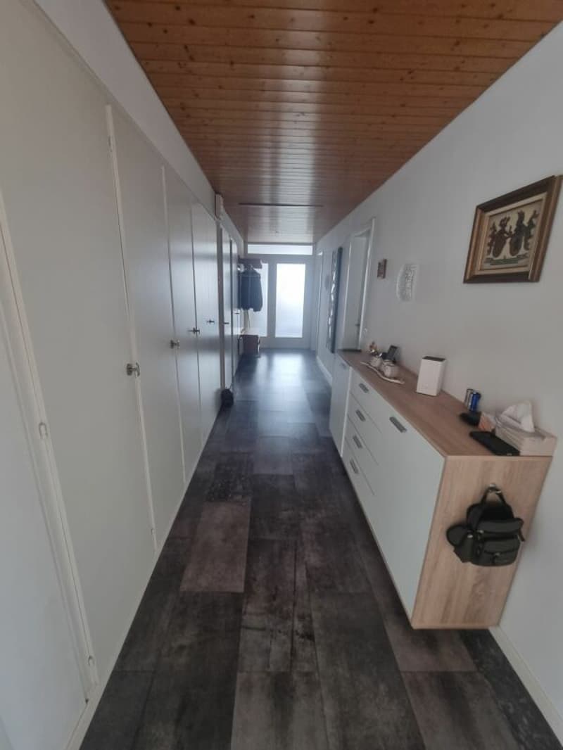 Grand appartement 5.5 pièces avec jardin à Täuffelen à louer (3)