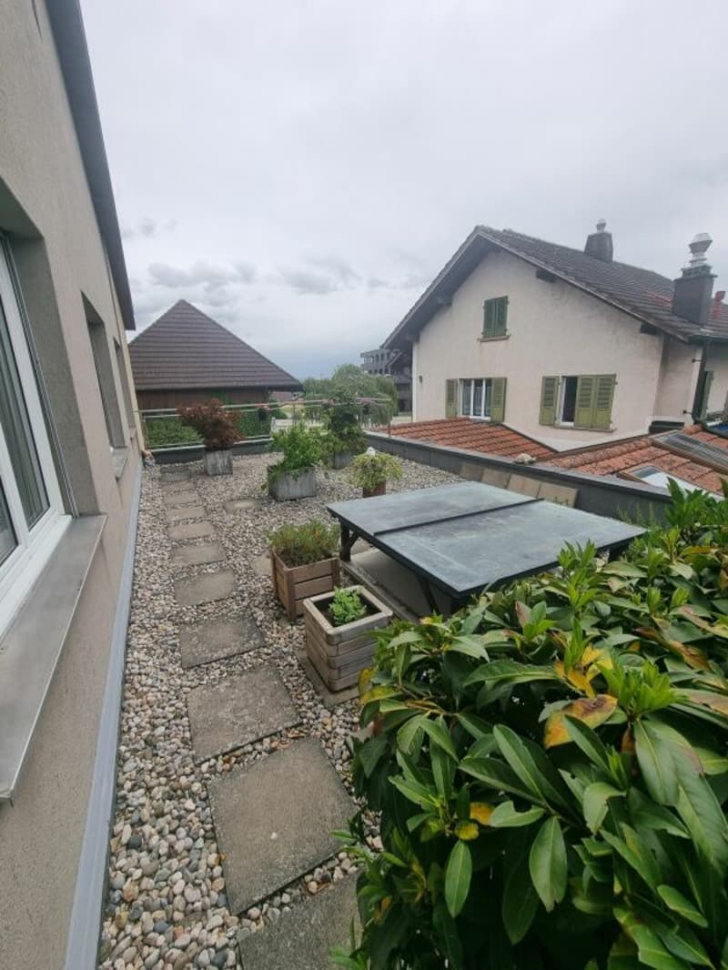 Grand appartement 5.5 pièces avec jardin à Täuffelen à louer (5)
