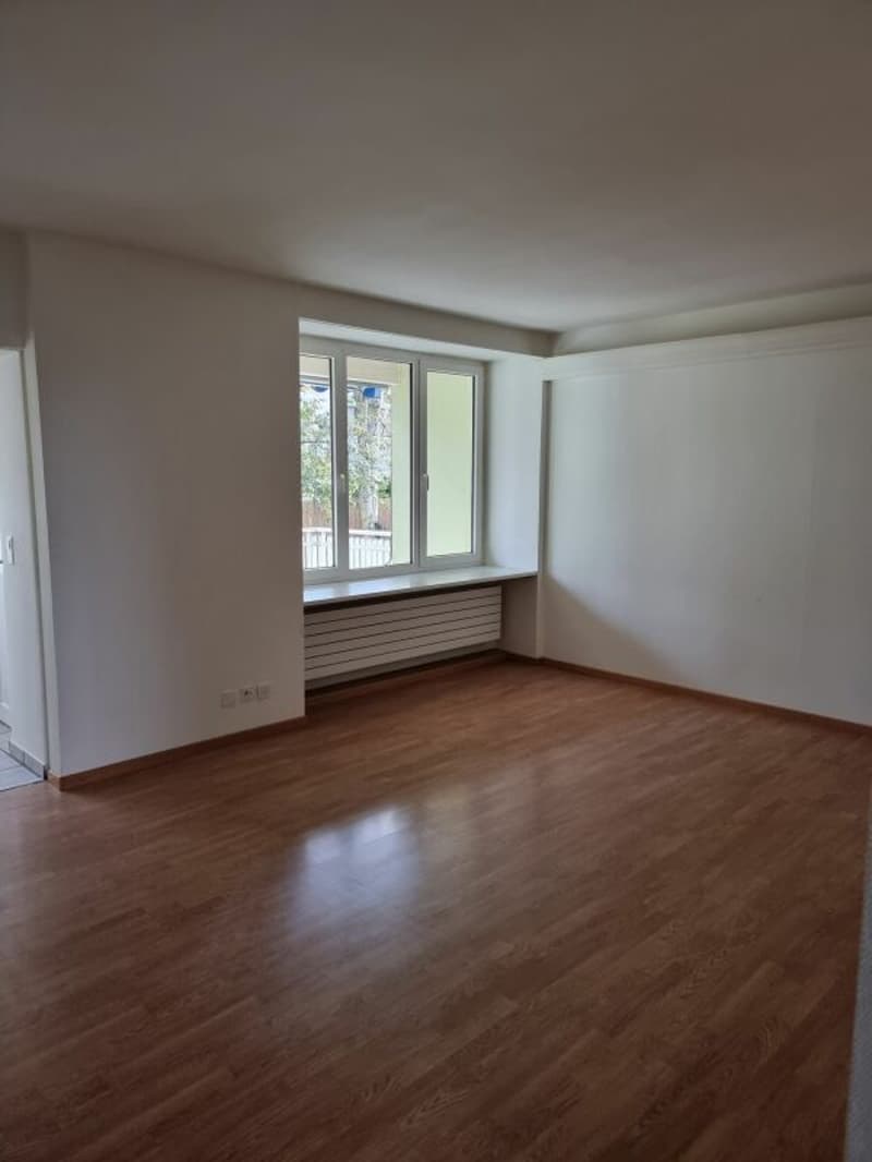 Appartement spacieux 4.5 pièces au rez-de-chaussée avec espace de séjour extérieur (2)