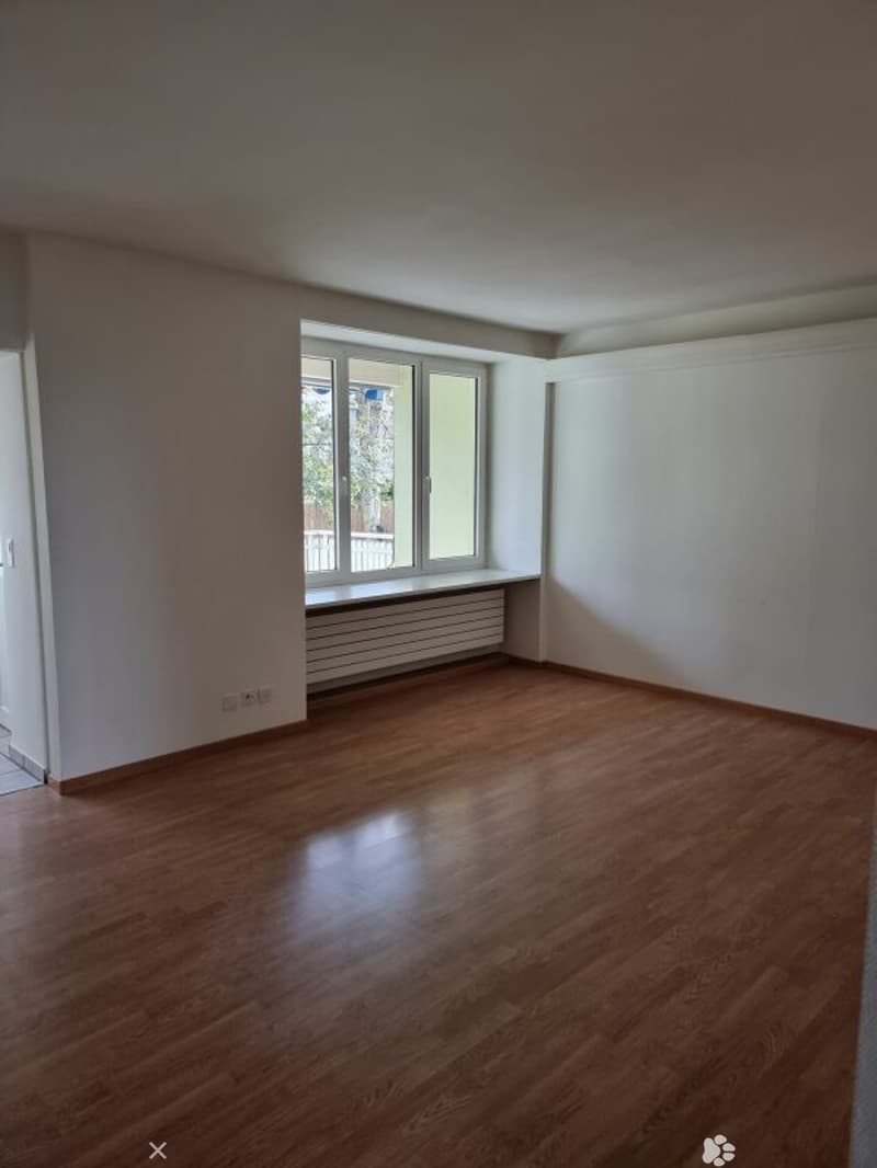 Grosszügige 4.5-Zimmer-Erdgeschosswohnung mit Aussensitzplatz (2)