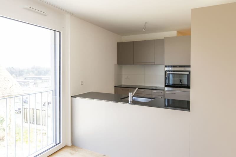Appartement moderne de 3,5 pièces au rez-de-chaussée à louer (2)