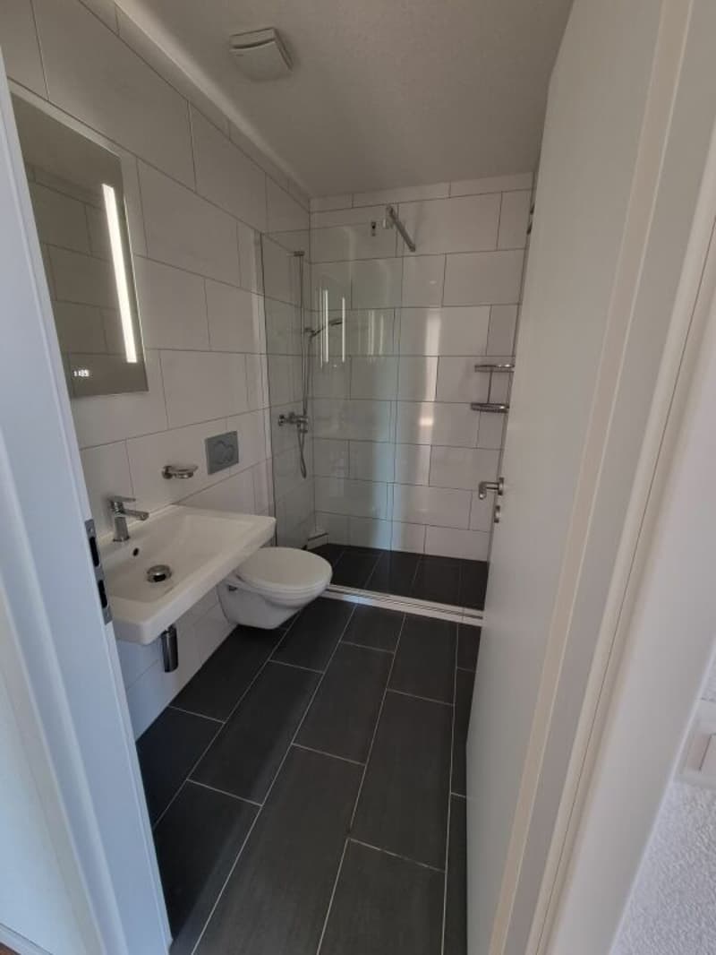 Brand new 5.5-room apartment with balcony for rent in Meinisberg (4)