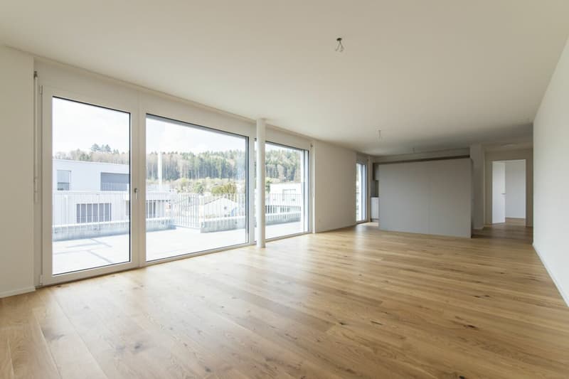 Attractive 3.5-room attic apartment for rent in Orpund (2)
