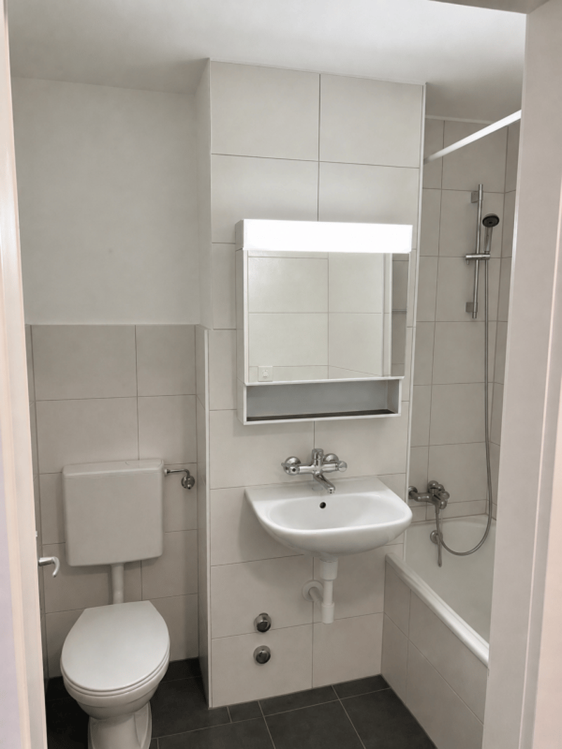 Ruhig gelegenes Studio nahe Zihl zu vermieten (4)