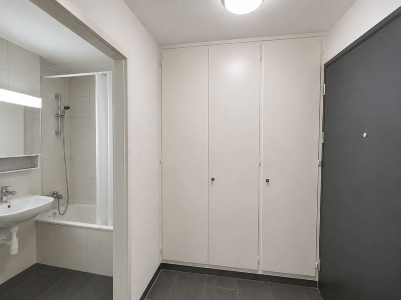 Ruhig gelegenes Studio nahe Zihl zu vermieten (5)