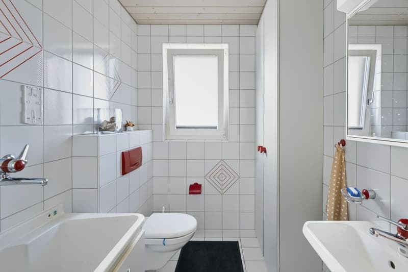 Attraktives Wohn- und Geschäftshaus im Möösliquartier (10)