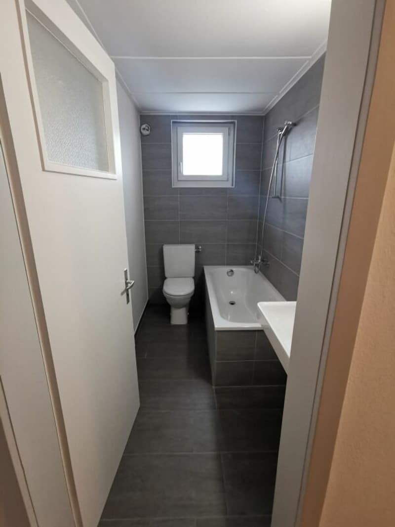 2.5-Zimmer-Dachwohnung in Lengnau zu vermieten (3)