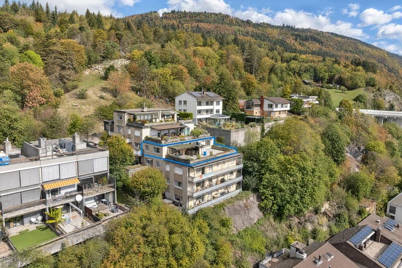 3.5 Zimmer Attika-Terrassenwohnung mit See- und Alpensicht (13)
