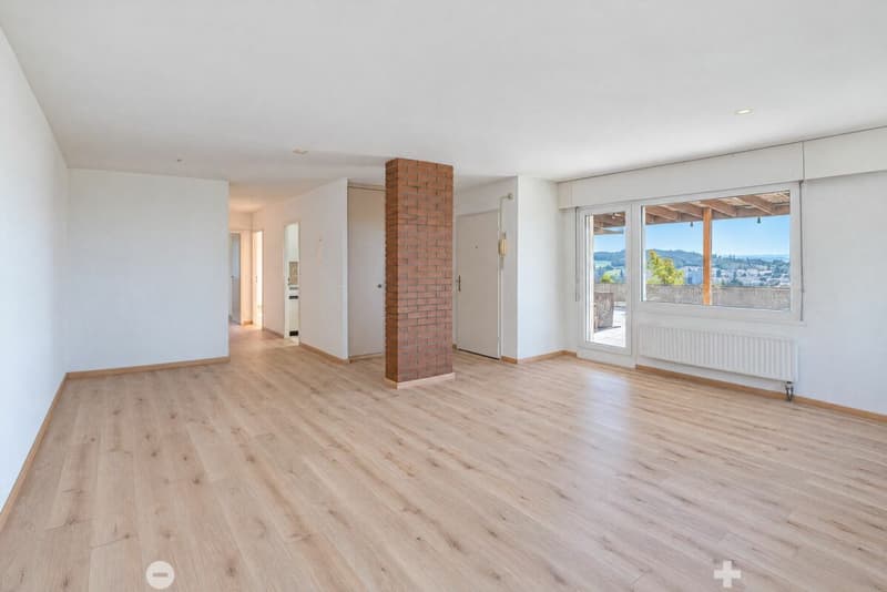 3.5 Zimmer Attika-Terrassenwohnung mit See- und Alpensicht (5)