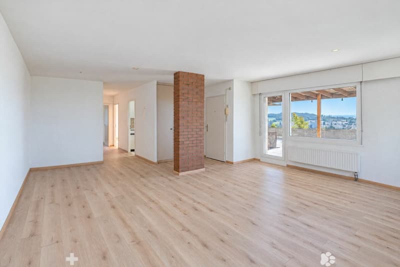 3.5 Zimmer Attika-Terrassenwohnung mit See- und Alpensicht (5)