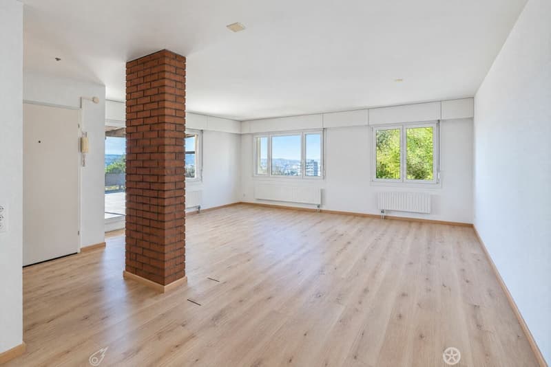 3.5 Zimmer Attika-Terrassenwohnung mit See- und Alpensicht (4)
