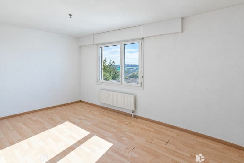 3.5 Zimmer Attika-Terrassenwohnung mit See- und Alpensicht (6)