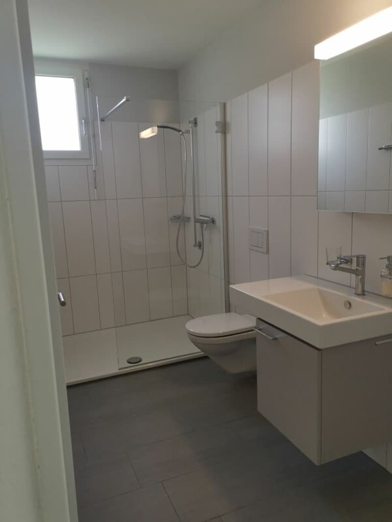 Ruhig gelegene 2.5-Zimmer-Wohnung in Safnern zu vermieten (4)
