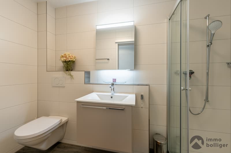 Appartement en propriété lumineux avec vue et confort à proximité de la gare de Zofingen (7)
