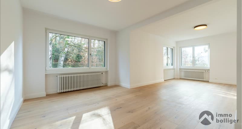 Maison modernisée à une adresse enviée à Olten (4)