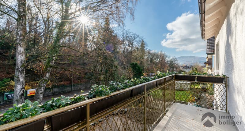 Maison modernisée à une adresse enviée à Olten (9)