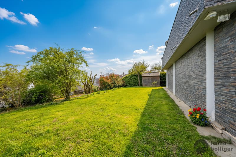 Alpine view and tranquility - exclusive living in Hägendorf (11)