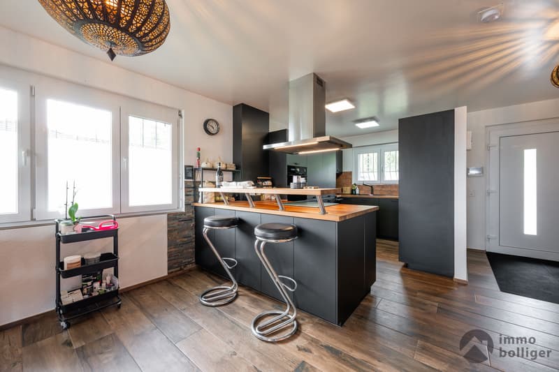 Alpine view and tranquility - exclusive living in Hägendorf (2)