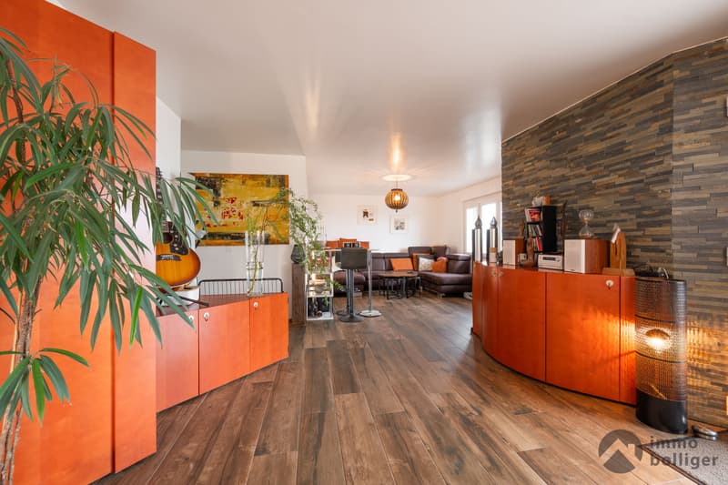 Alpine view and tranquility - exclusive living in Hägendorf (5)