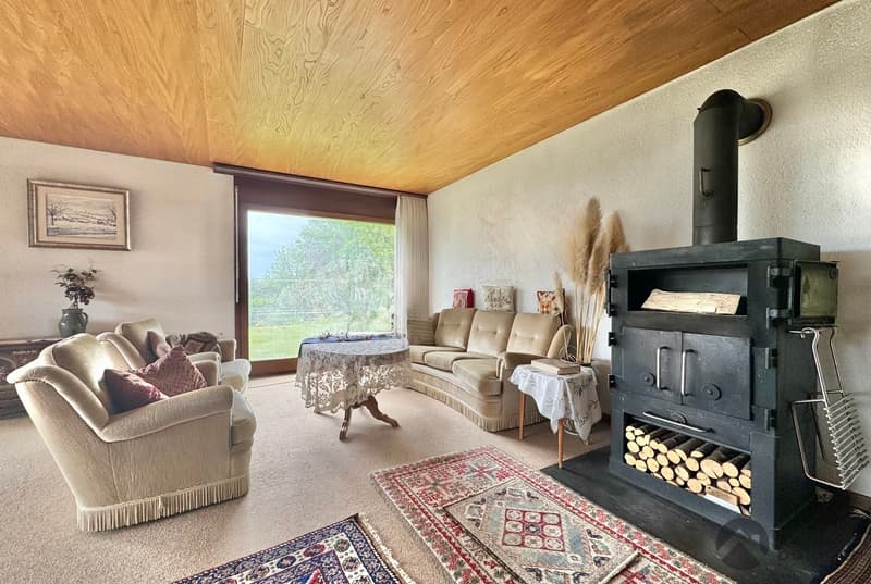 A home with substance and potential in an attractive location (3)