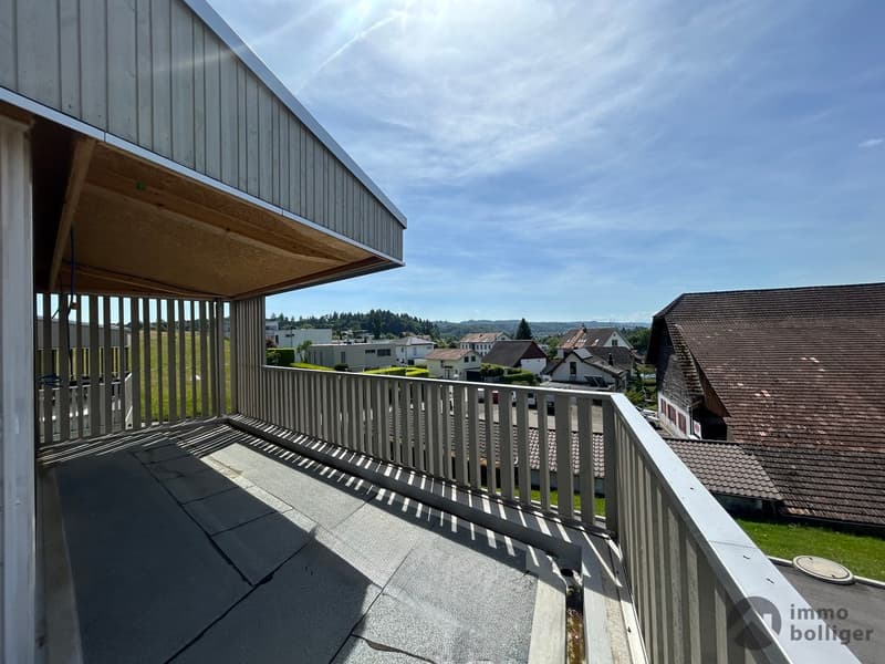 Modern single-family house with free interior design (5)