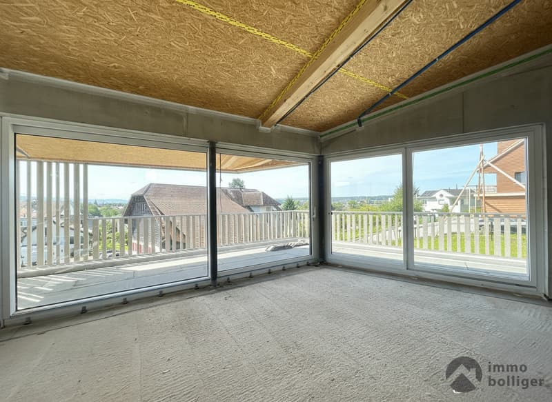 Modern single-family house with free interior design (2)