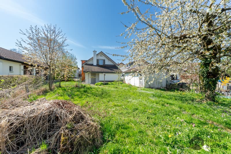 Well-maintained single-family house with garden paradise (11)