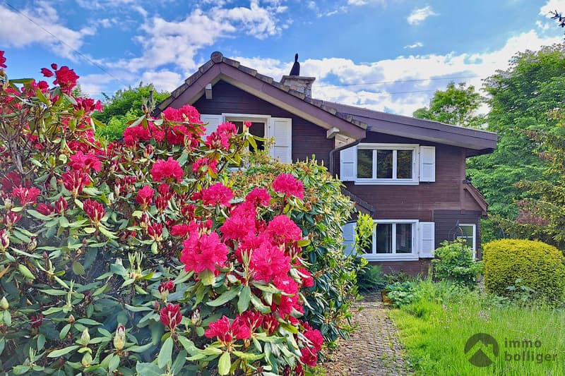 Ihr neues Zuhause - direkt an der Langete (13)