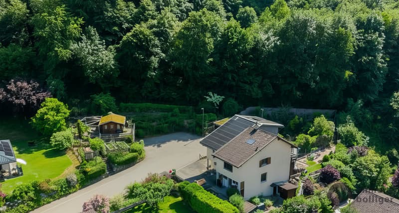 Living in the Green - Garden Paradise & Forest right at the Door (13)