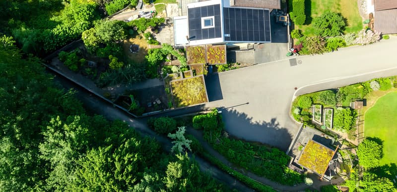 Living in the Green - Garden Paradise & Forest right at the Door (1)