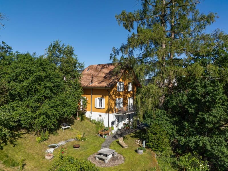 A Home to Fall in Love with in Rothrist (1)