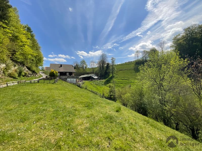 Your home with a view and plenty of space (10)