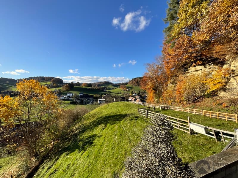 Your home with a view and plenty of space (13)