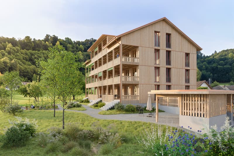 Wohnen im Baumgarten: Holzbau mit Charme und Weitblick (2)