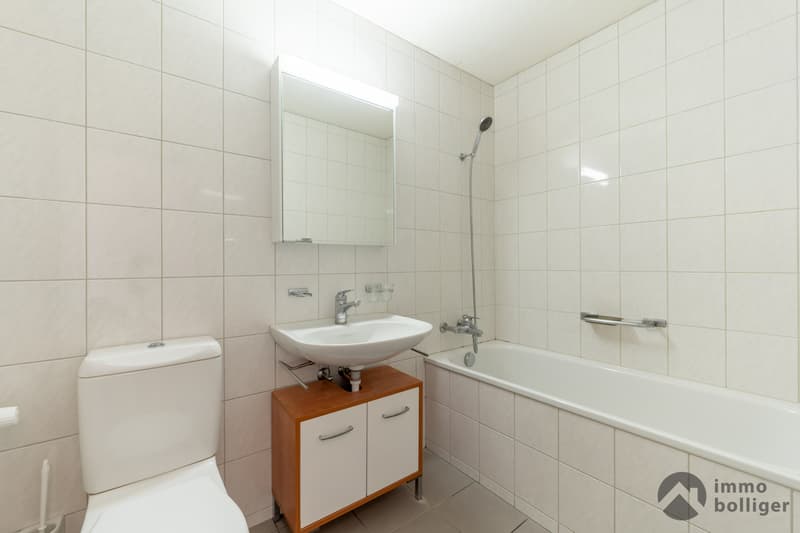 Between Aare, Old Town, and Nature (8)