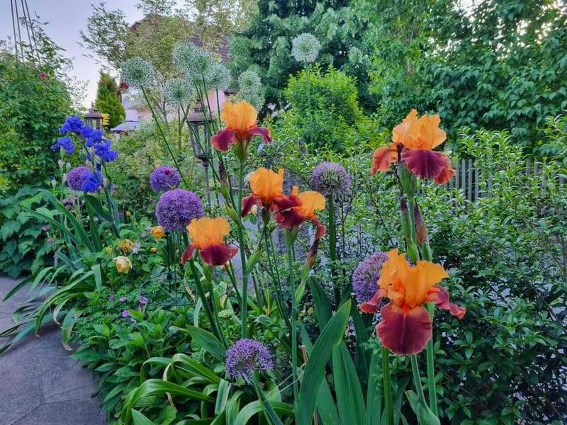 Blumiges Zuhause am Flieder-Weg (11)